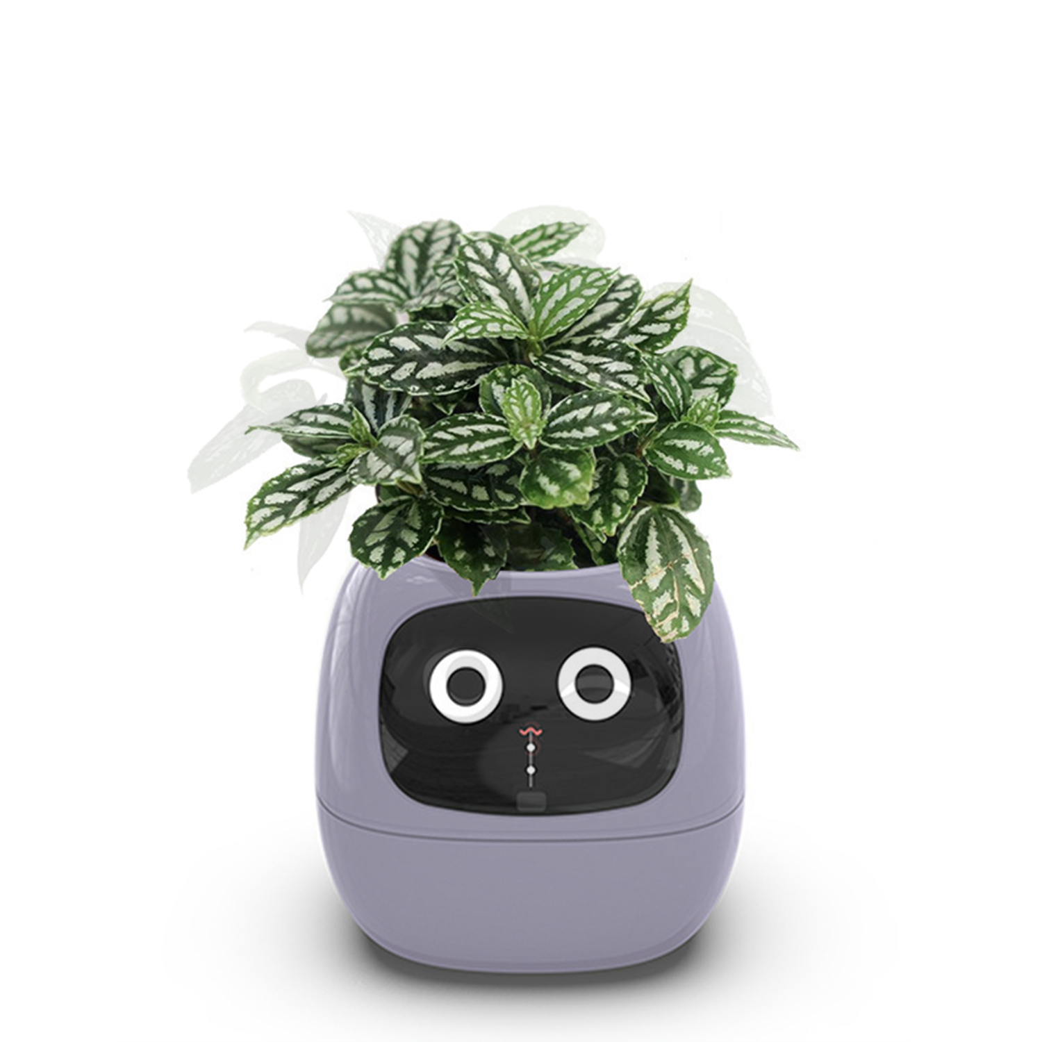 Kamiuzzly Smart Plant Monitor with, Cute Desktop Pet for Home/Office Ecosystem.