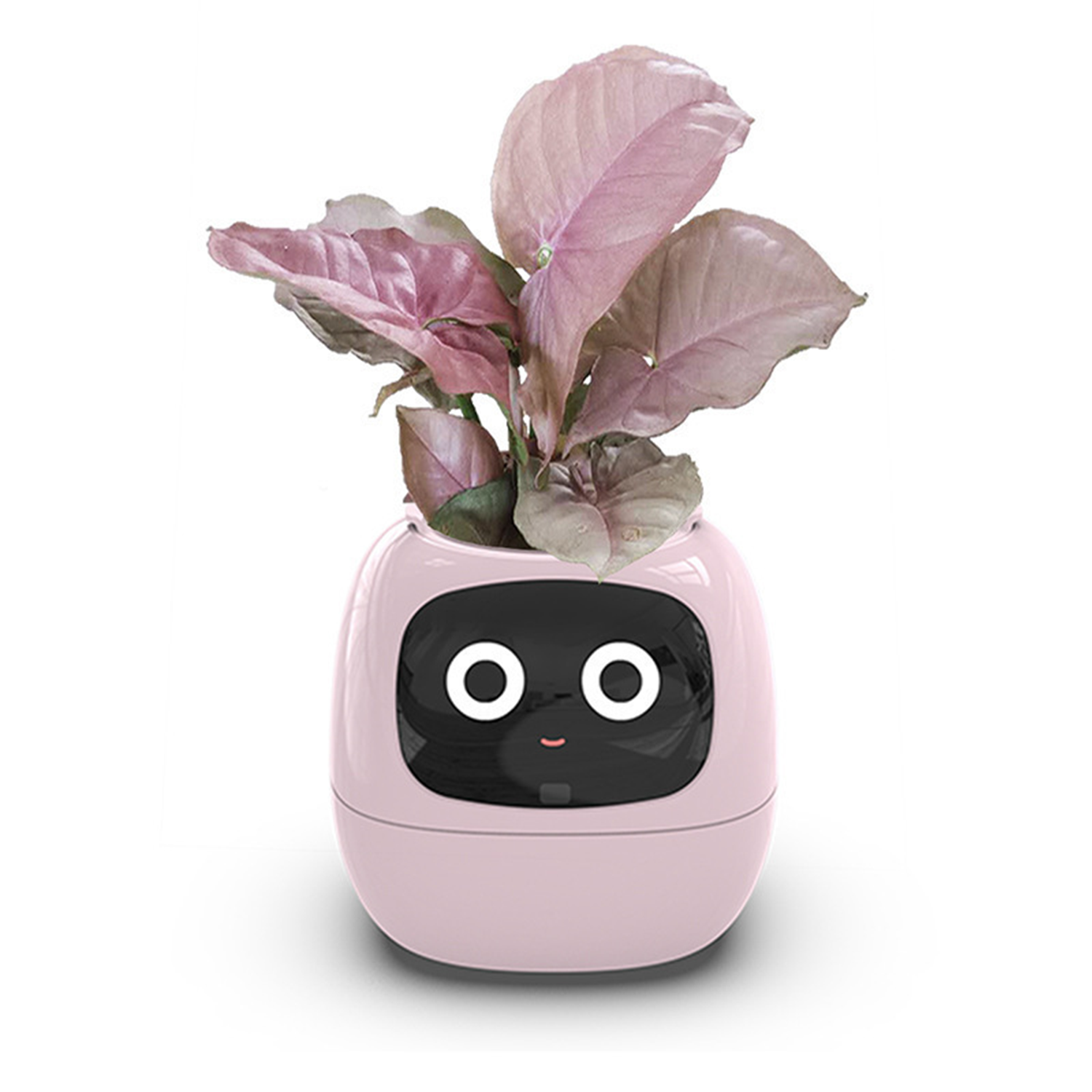 Kamiuzzly Smart Plant Monitor with, Cute Desktop Pet for Home/Office Ecosystem.